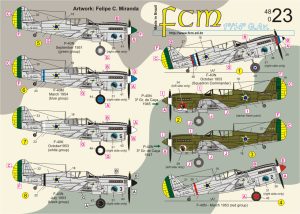 Decalque P-40  1º/14º GAV 048-23 - FCM