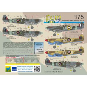 Decalque 048-75 Fellowship of the Bellows - Brazil Escala 1/48